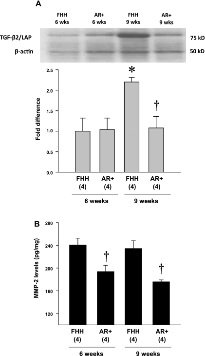 Fig. 9.