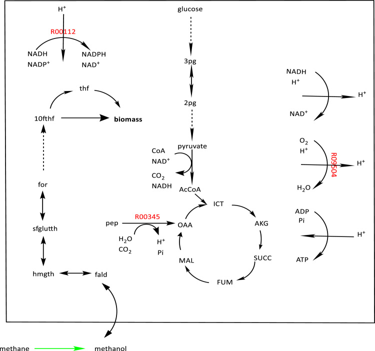 Fig. 6.