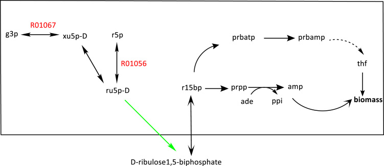 Fig. 5.