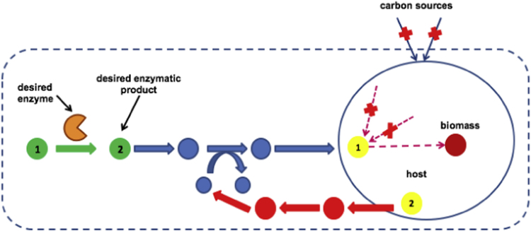 Fig. 2.