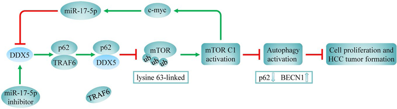 FIG. 8.