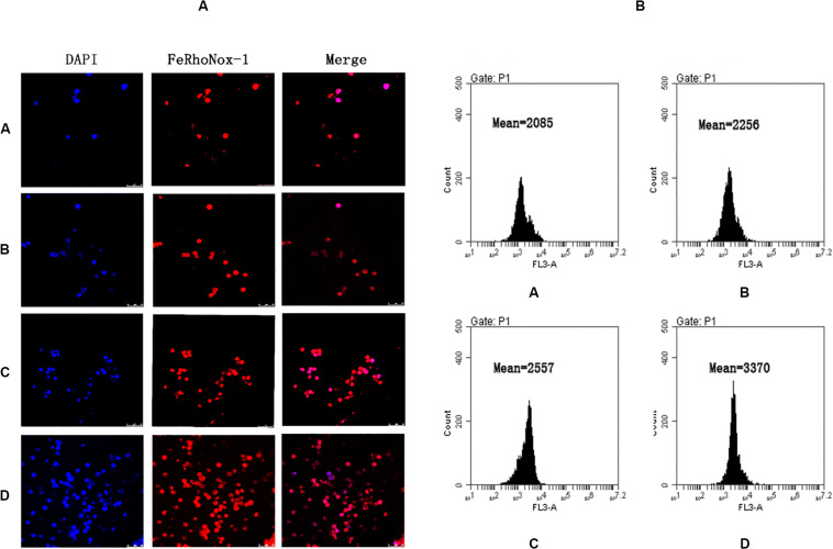 FIGURE 3