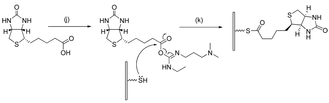 Scheme 4