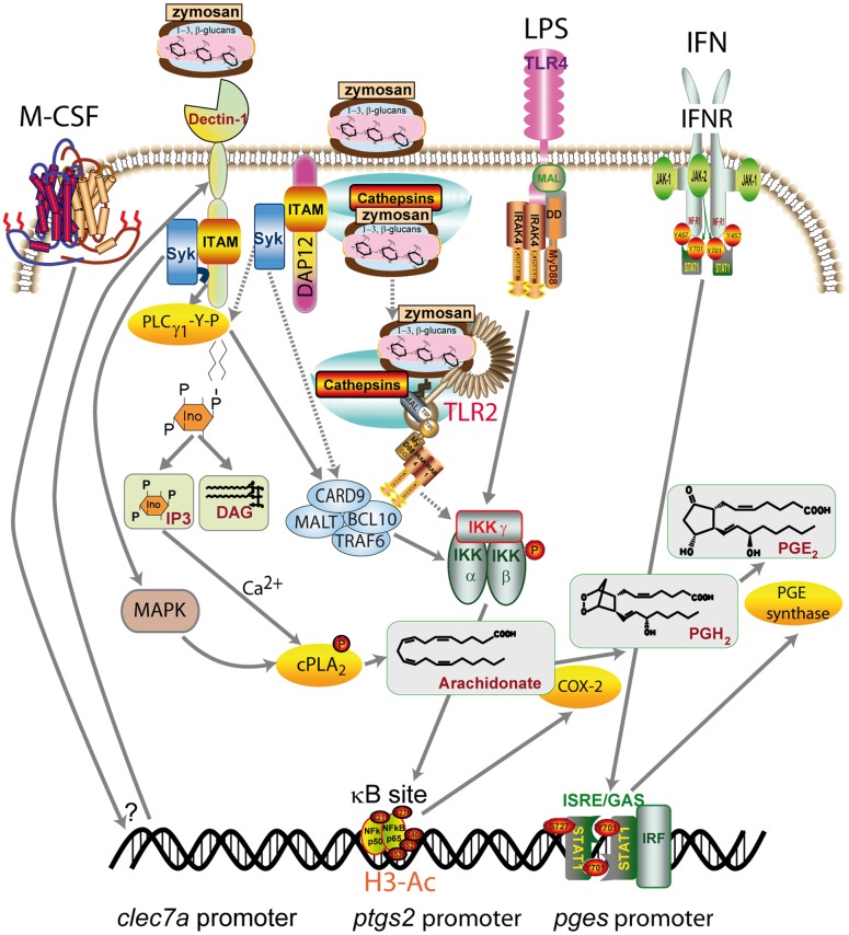 Figure 10