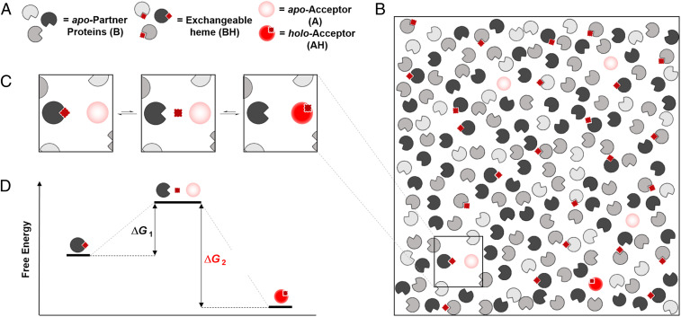 Fig. 4.