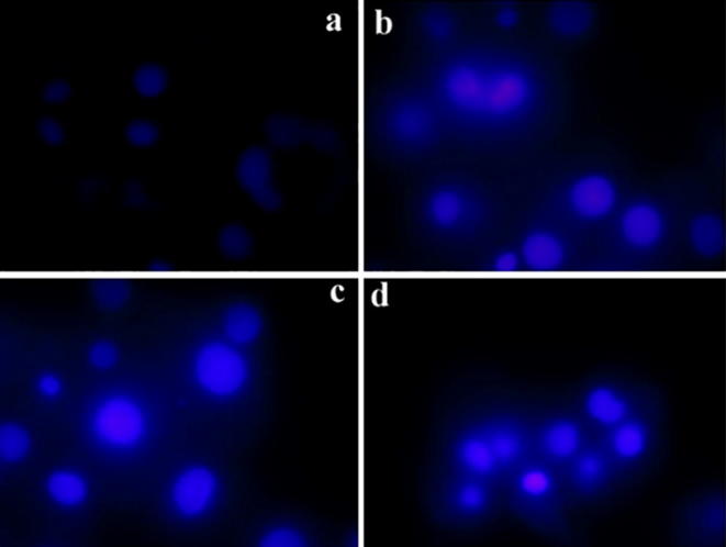 Fig. 10