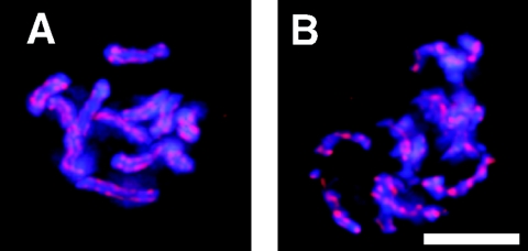 FIG. 6.