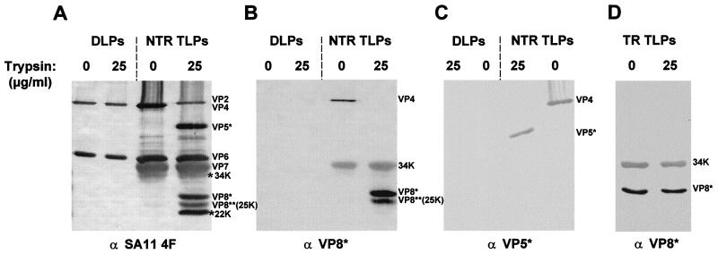 FIG. 5