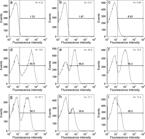 FIG. 2.