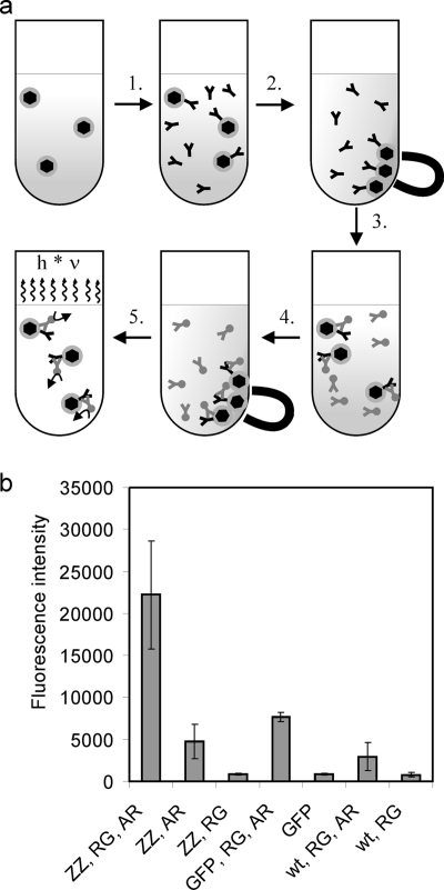 FIG. 3.