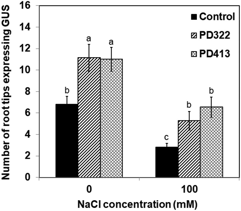 Figure 3.