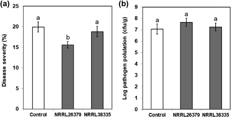 Figure 6.