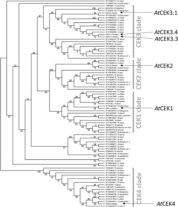 Figure 10.