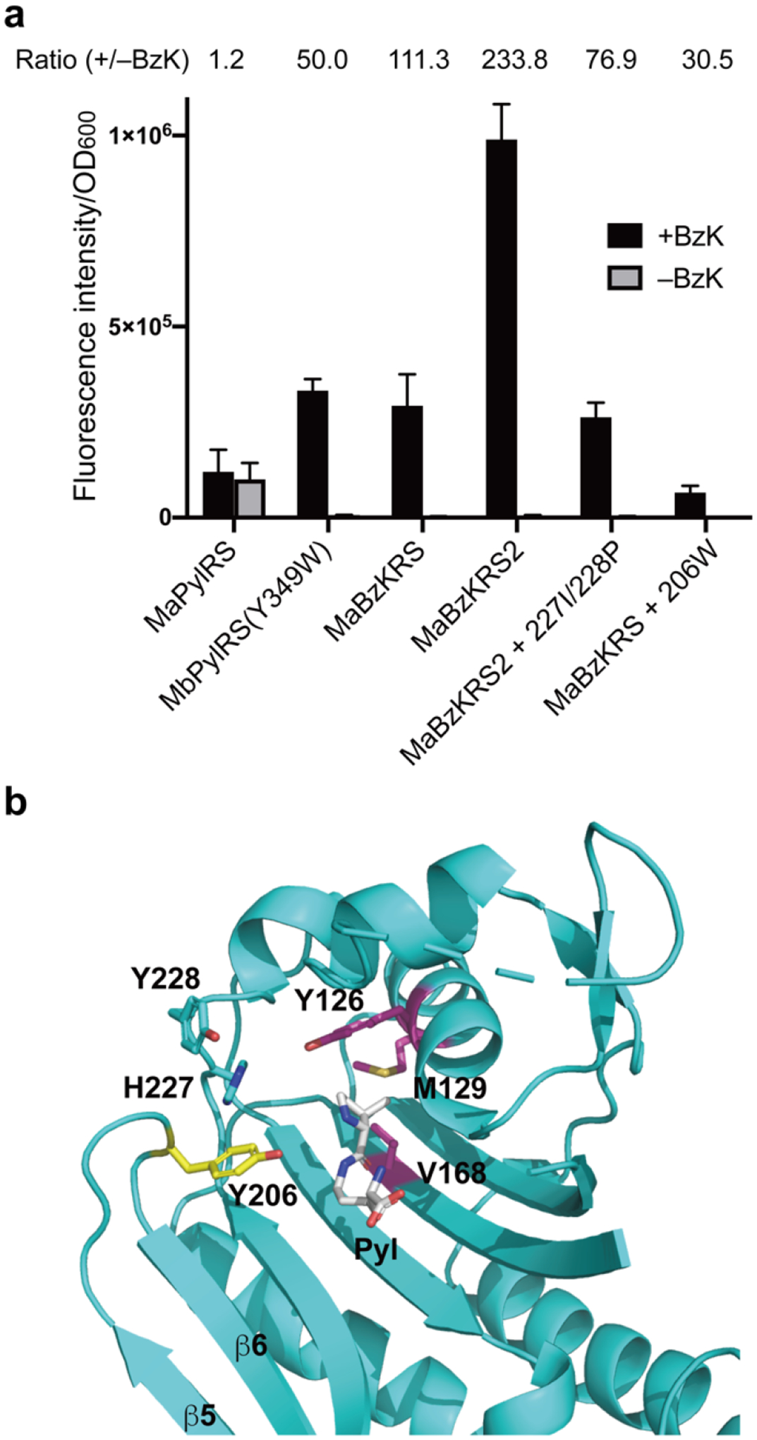 Figure 4.