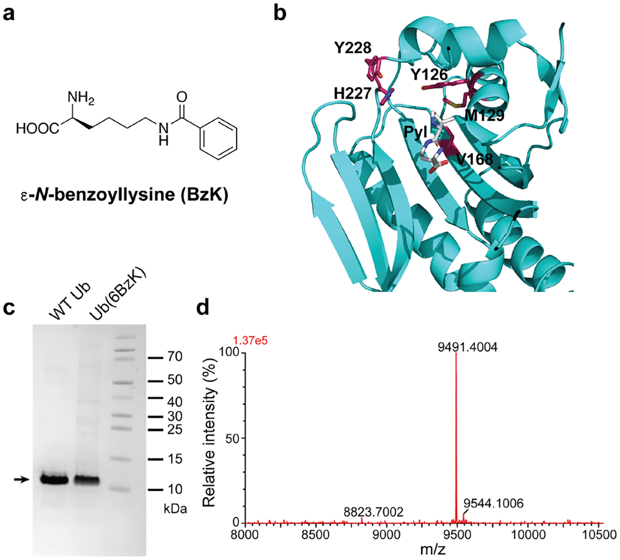 Figure 1.