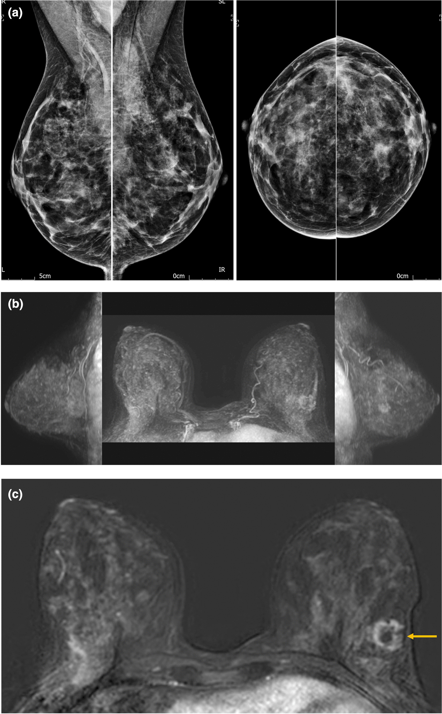 Fig. 8