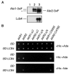 FIG. 7.