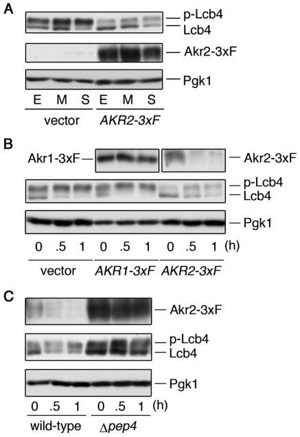 FIG. 8.