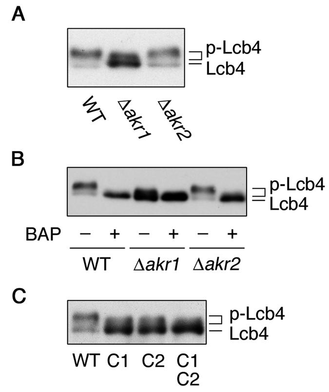 FIG. 5.