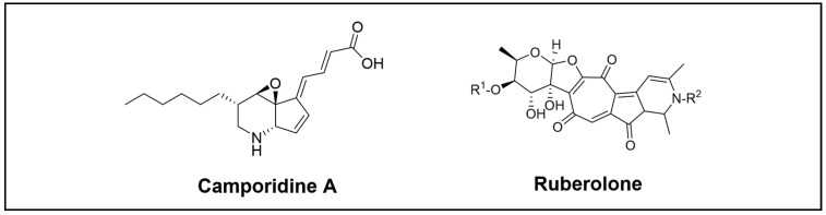 Figure 8