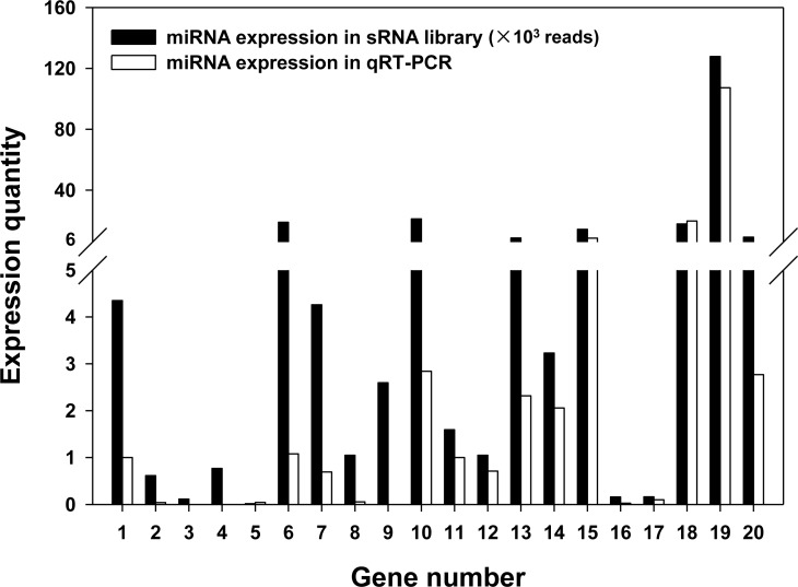 Fig 4