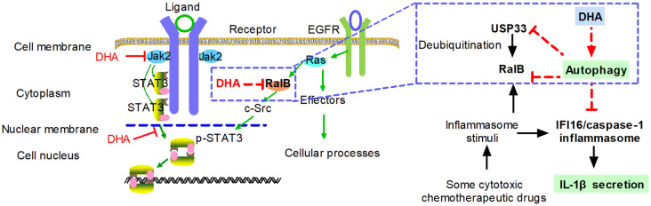 Fig. 7