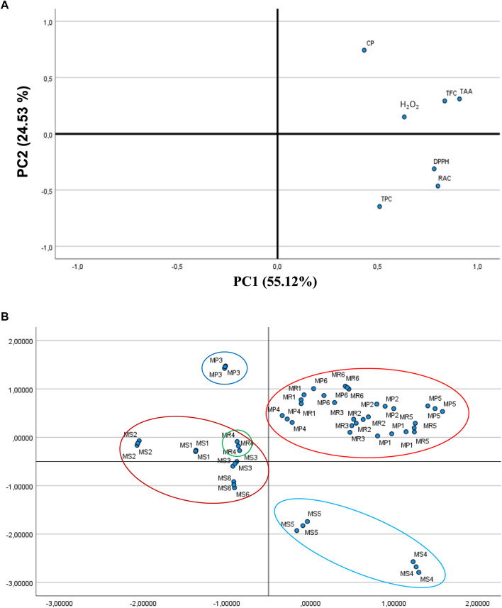 FIGURE 3