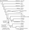 Fig. 3.