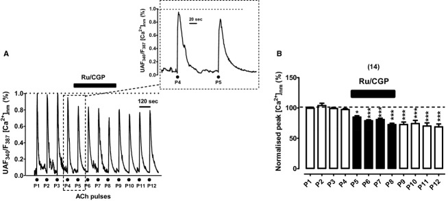 Figure 7.