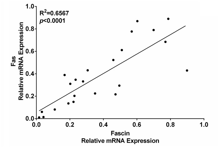 Fig 5