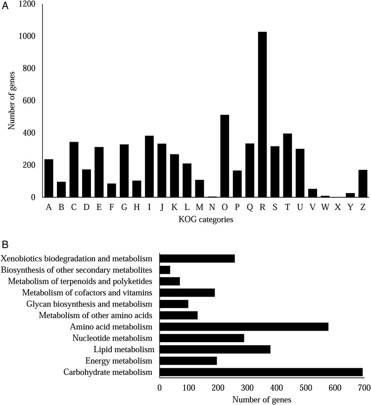 Figure 3.