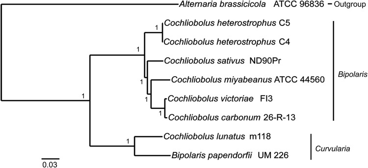 Figure 5.