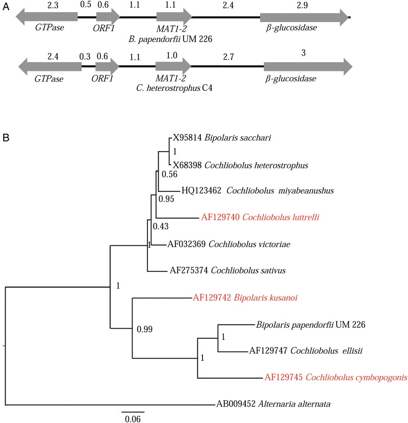 Figure 7.