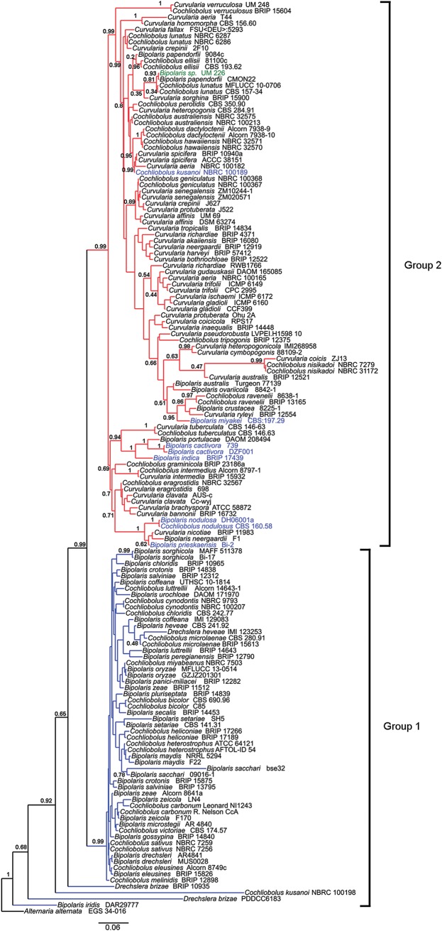 Figure 2.