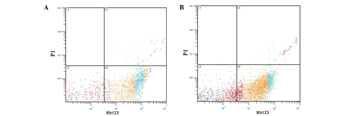 Figure 3.