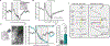 Figure 7 |