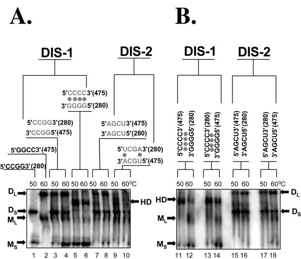 FIG. 5.