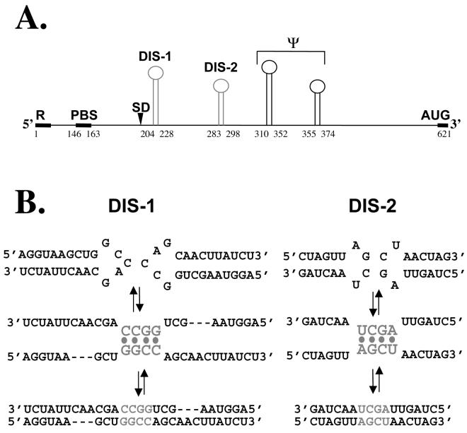 FIG. 1.