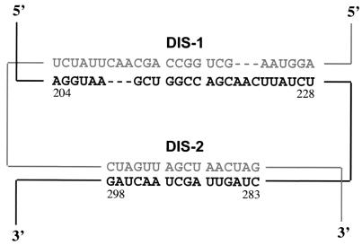 FIG. 8.