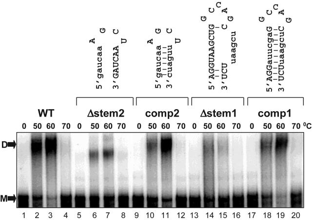 FIG. 4.