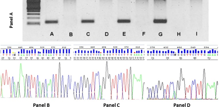 Fig. 6