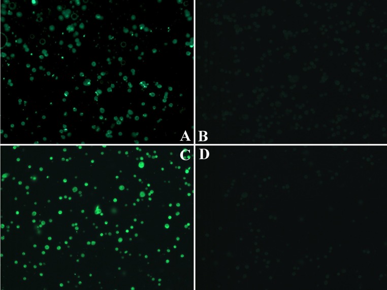 Fig. 3