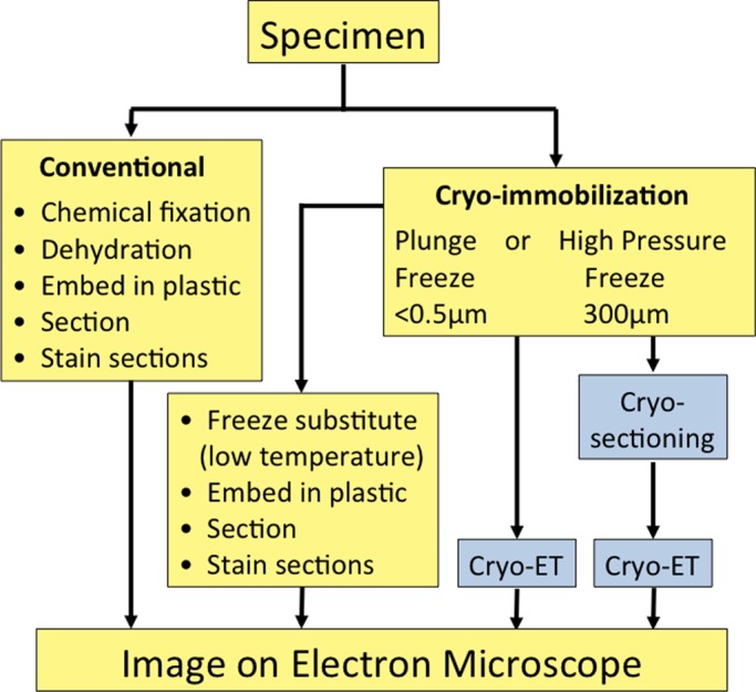 FIGURE 1: