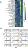 Figure 7: