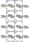 Figure 17