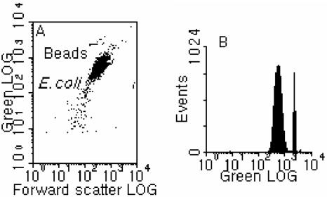 FIG. 2.