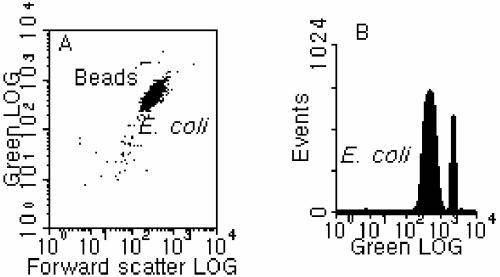 FIG. 4.