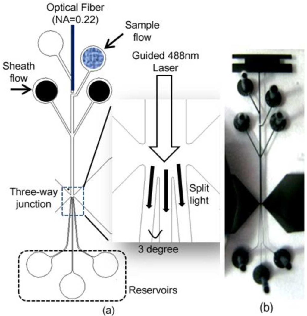 Fig. 3