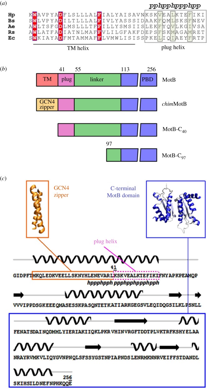 Figure 2.