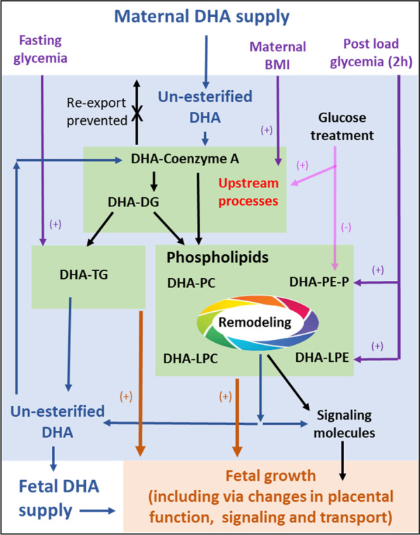 Fig. 7